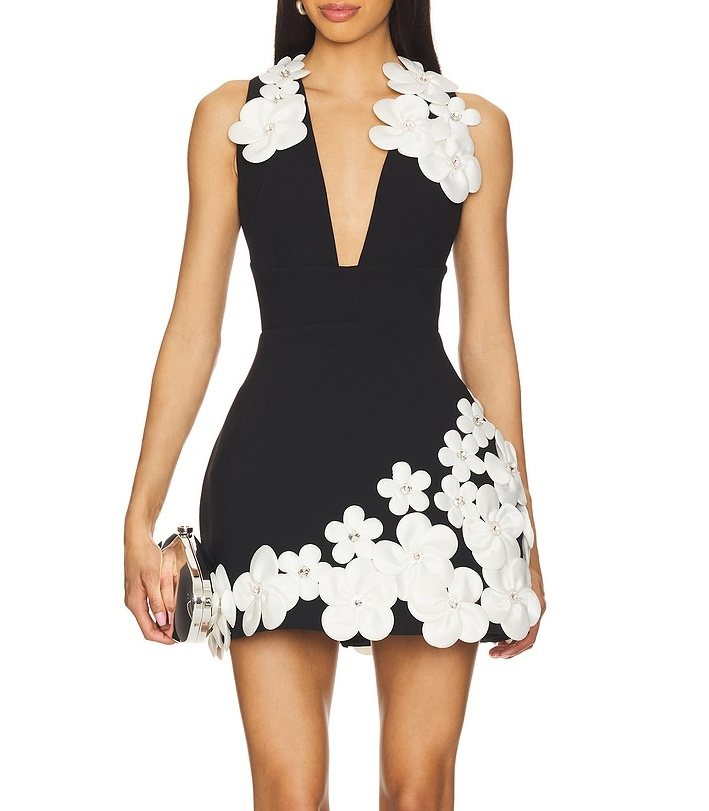 Appliqué woven mini dress